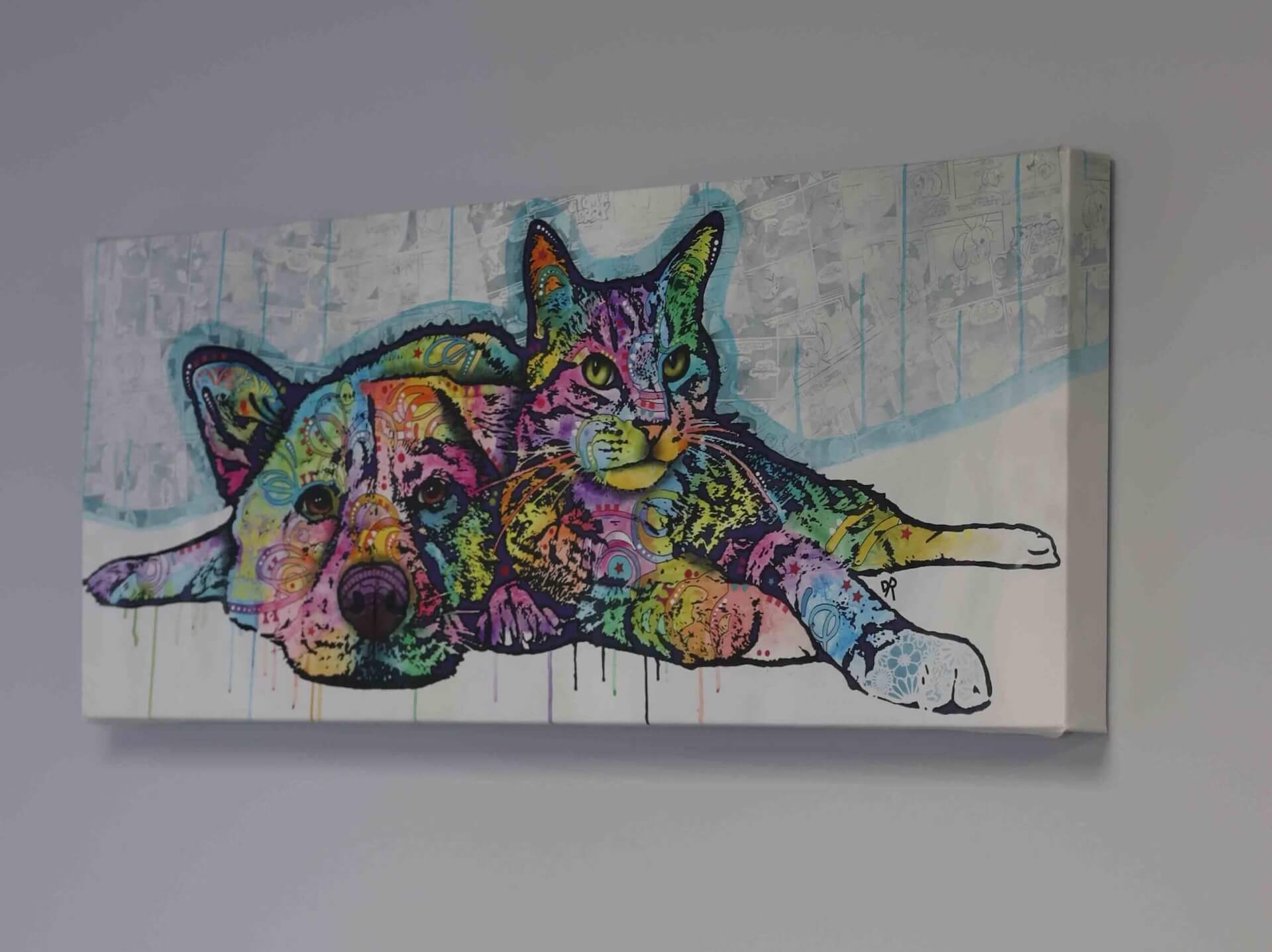 dogexam
