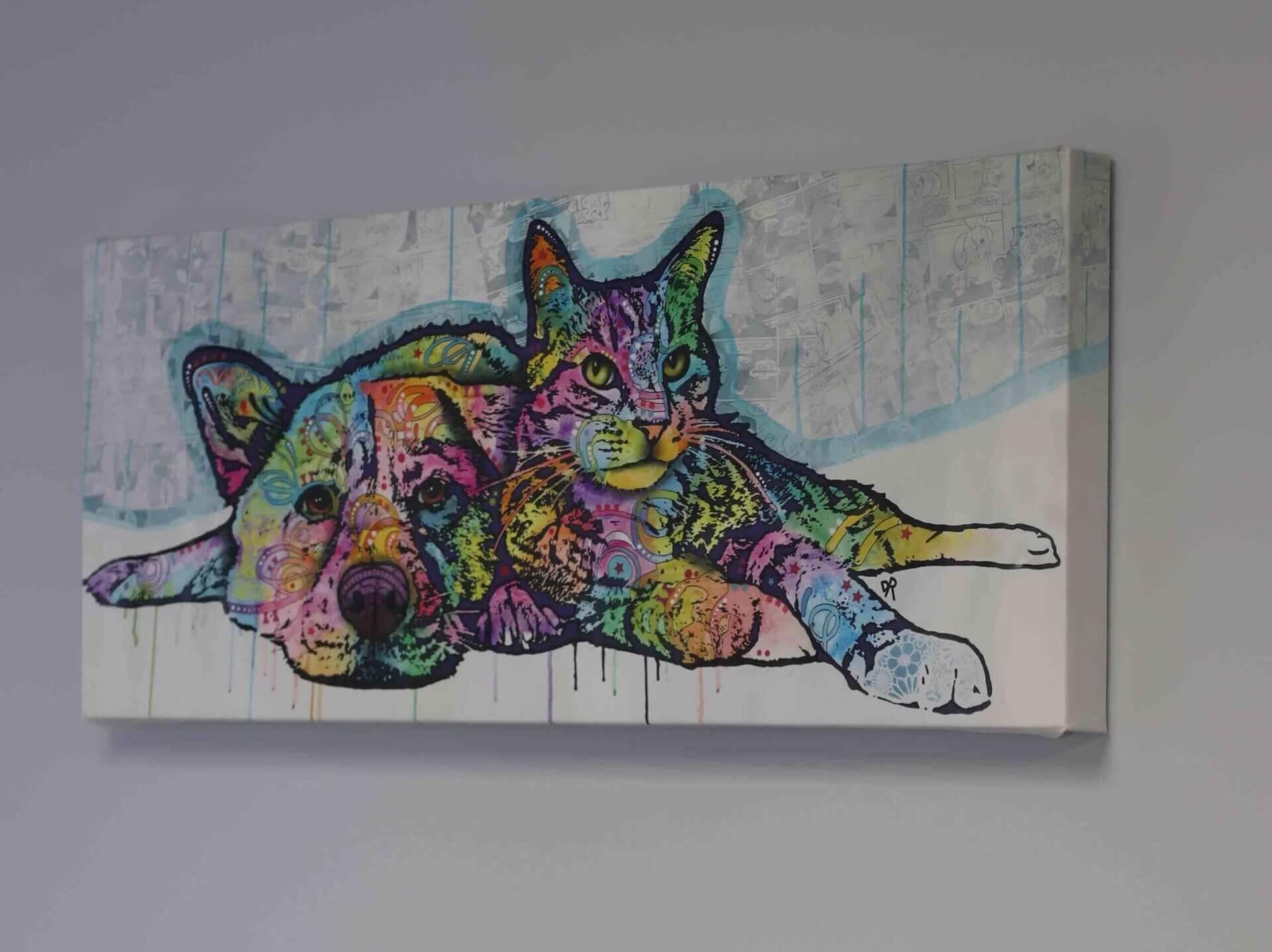 Rexford Veterinary Clinic Slider