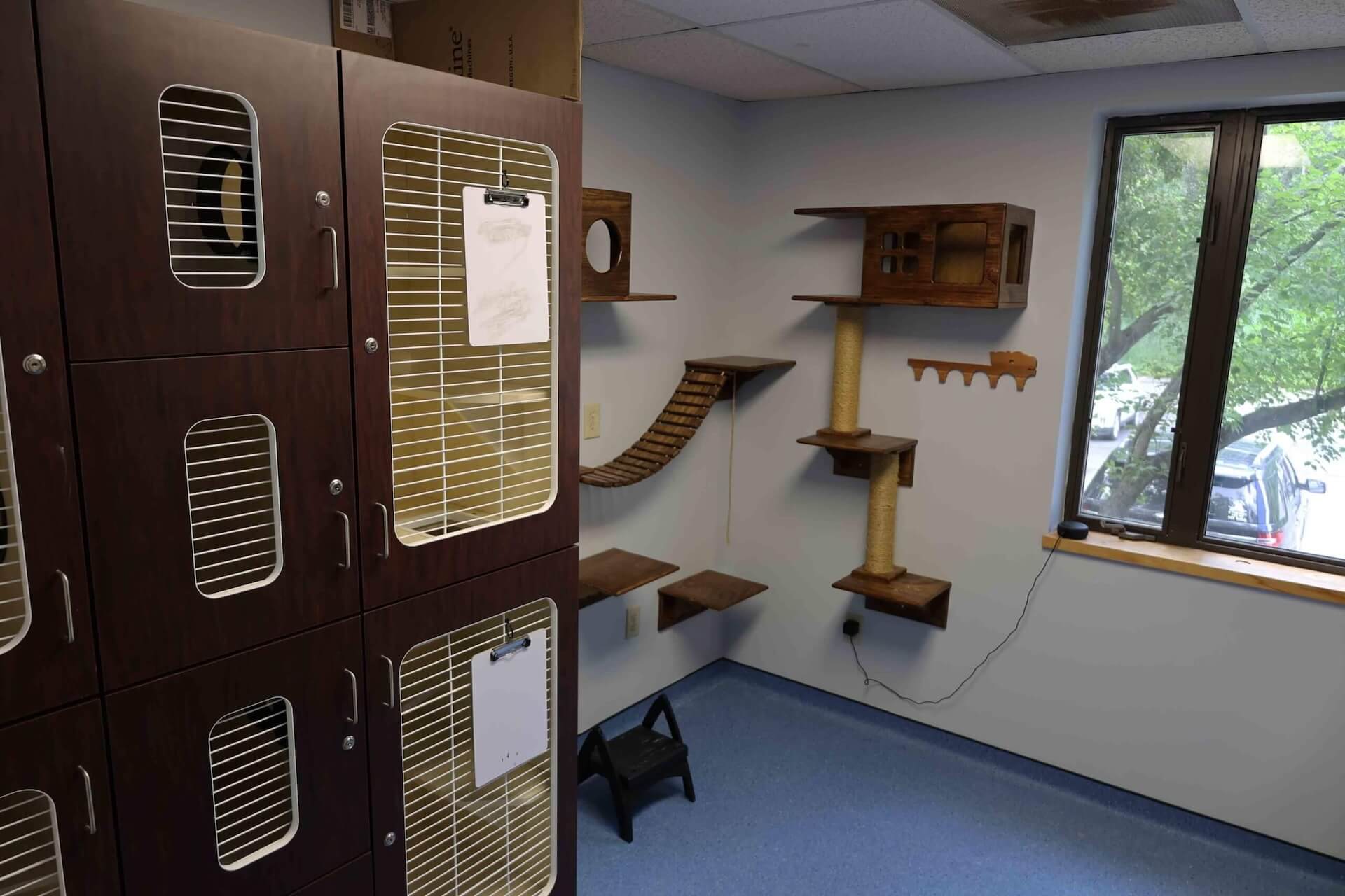 Veterinary Clinic in Rexford