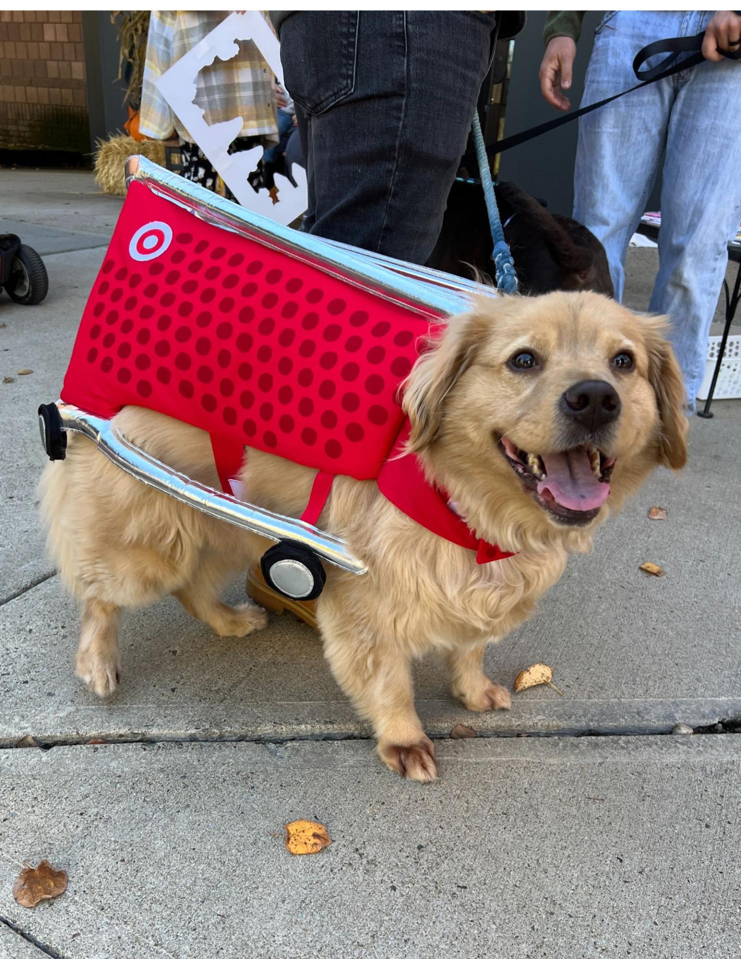 Halloween Spooktacular Event