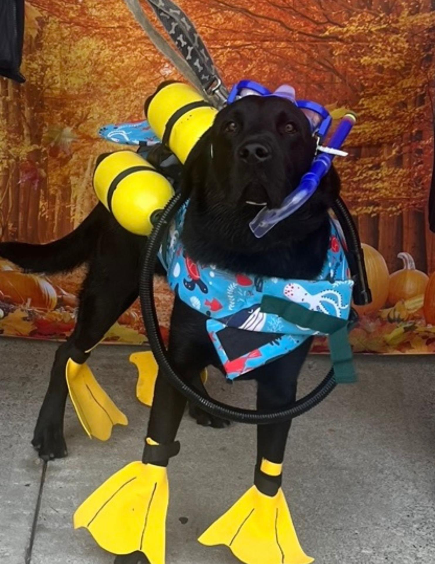 Halloween Spooktacular Event