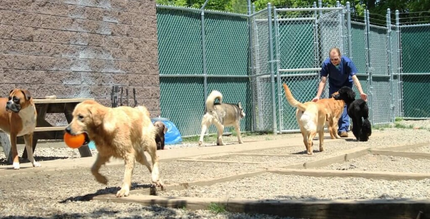 Outside_Play_Area
