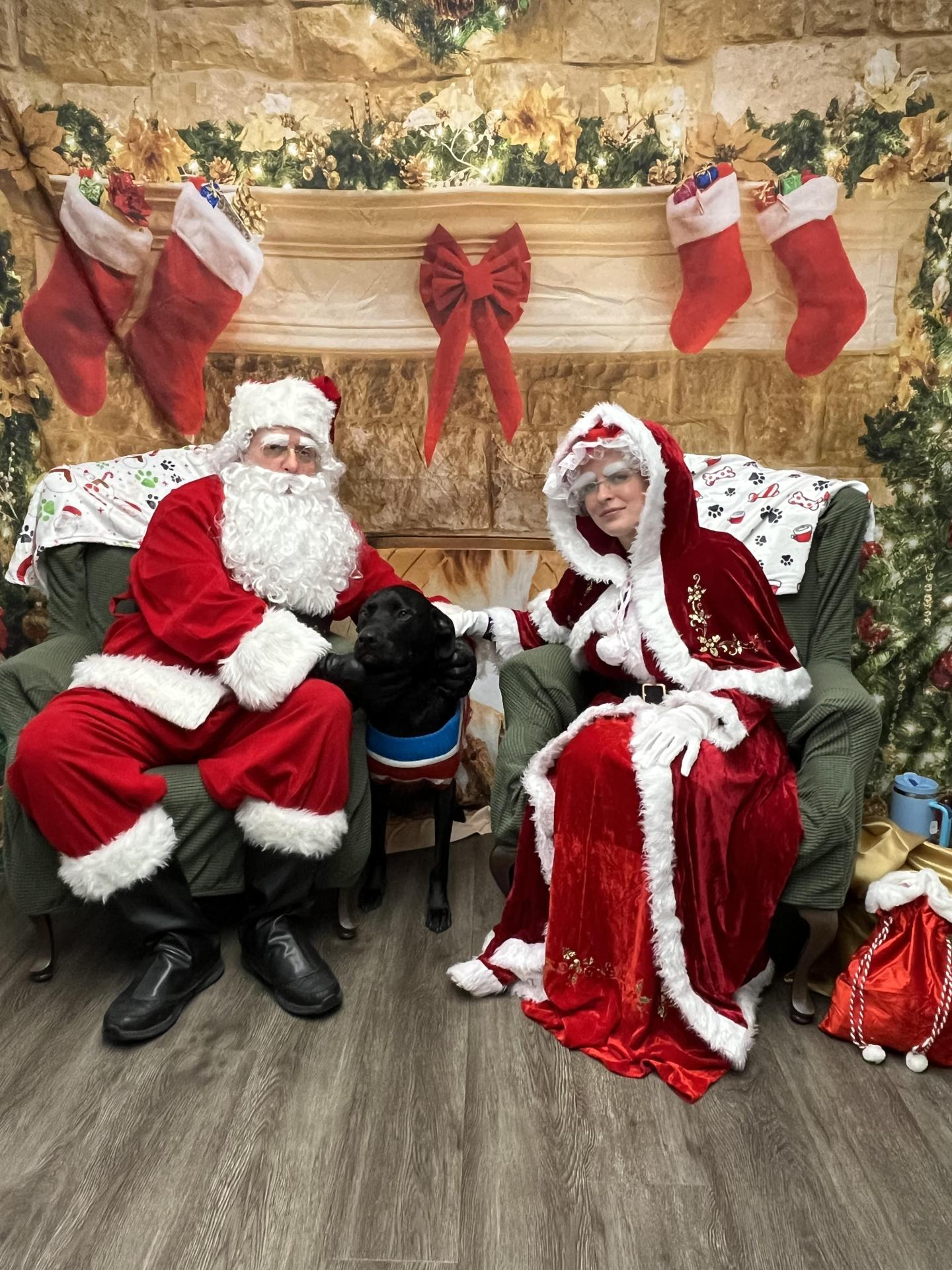 Dog Pictures with Santa