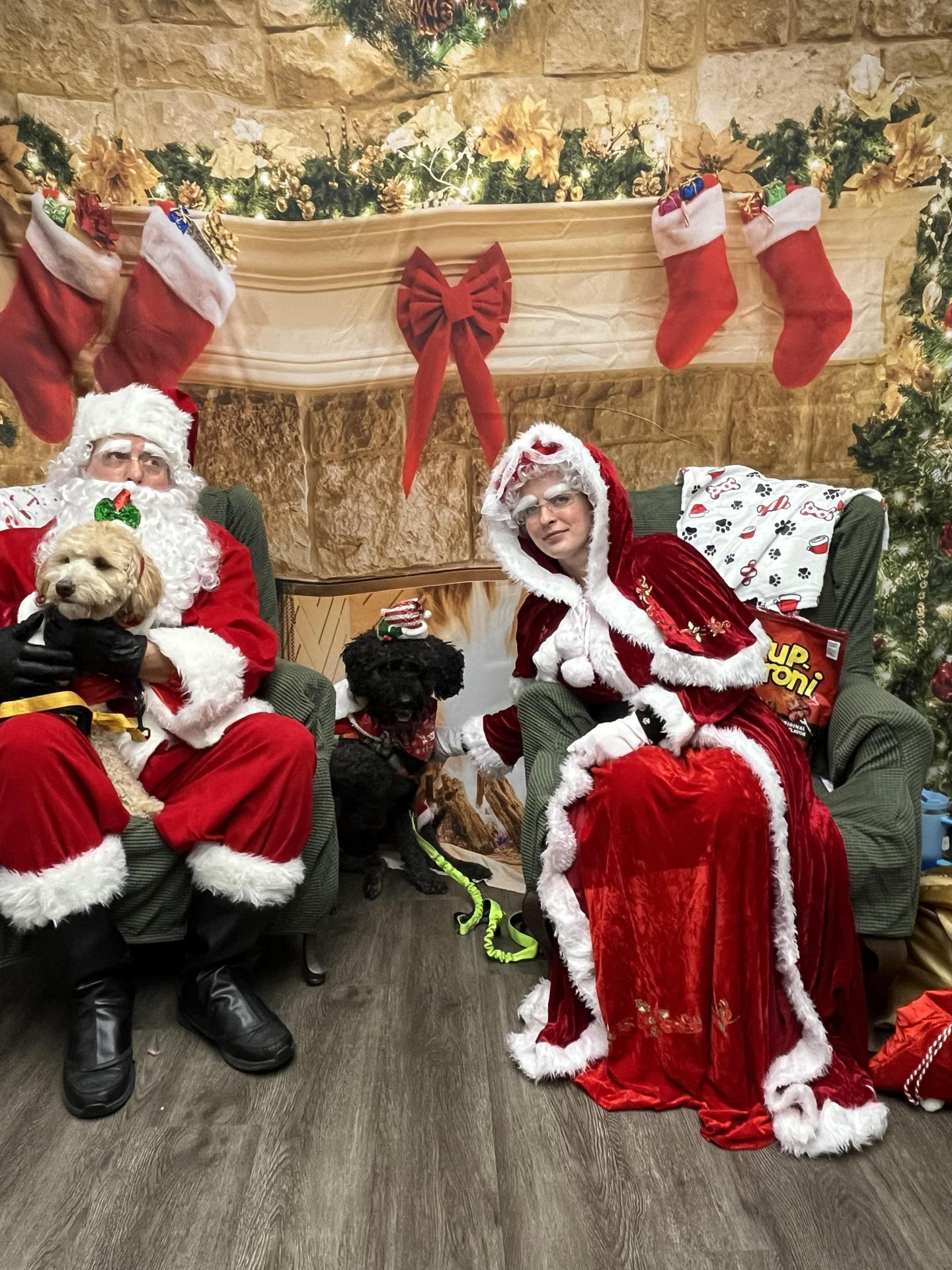 Dog Pictures with Santa