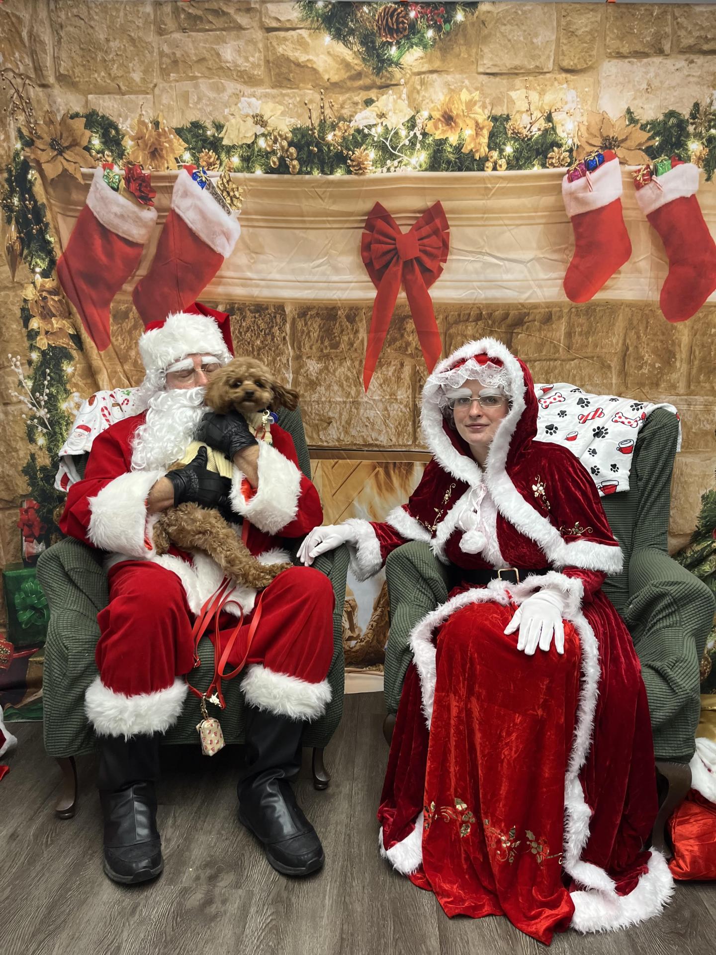 Dog Pictures with Santa