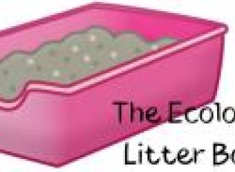 The Ecology of Litter Boxes